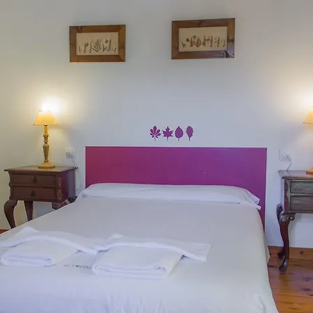 Apartament Viviendas Rurales El Covaju Cabezón de Liébana